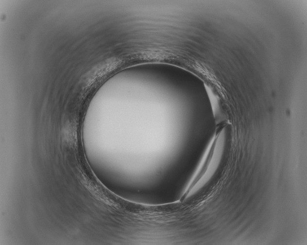X0000085020681200703191142