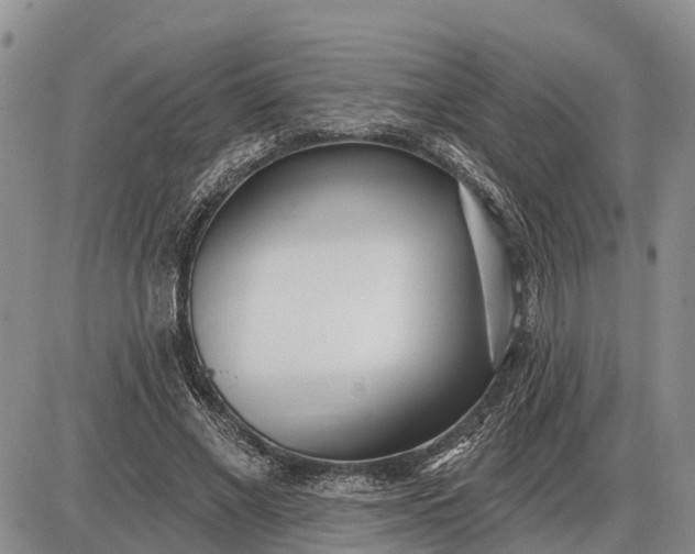 X0000085020685200703191142