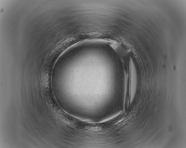 X0000085020689200703191142