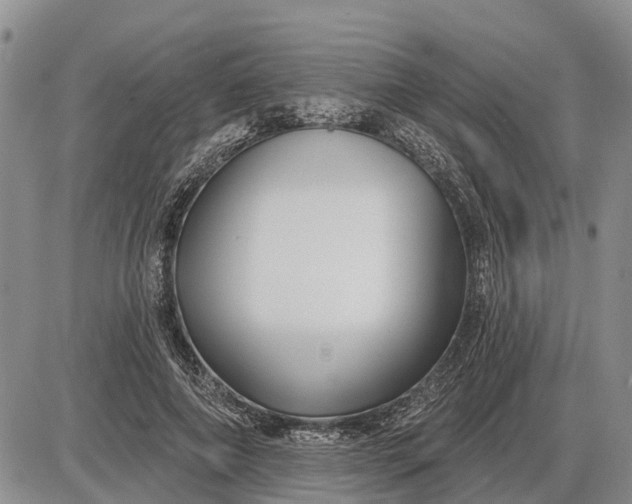 X0000085020690200703191142