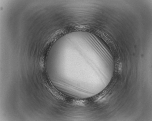 X0000085020710200703191141