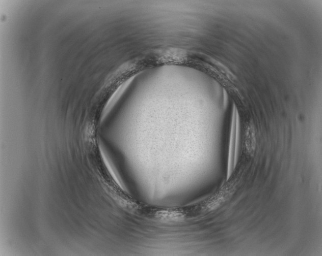 X0000085020714200703191141