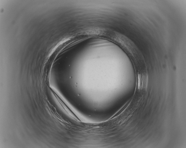 X0000085020723200703191140