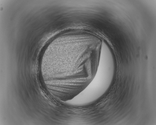 X0000085020724200703191140