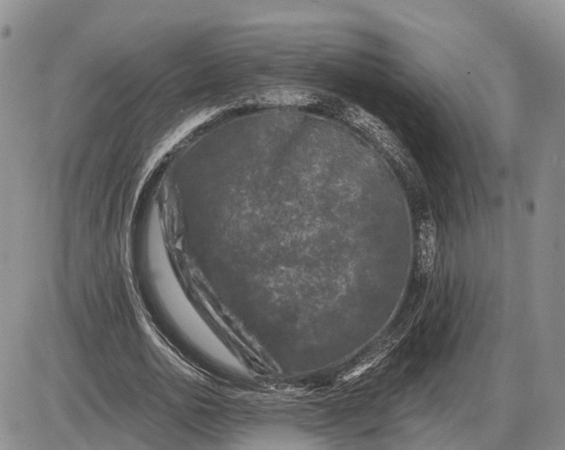 X0000085020726200703191140