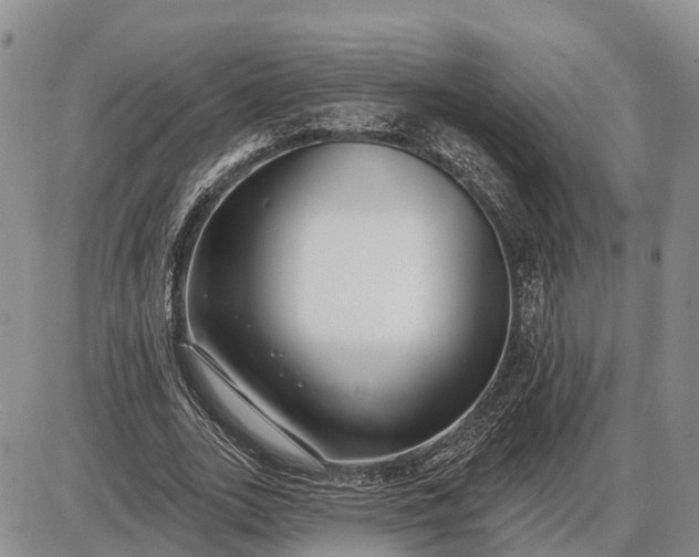 X0000085020727200703191140