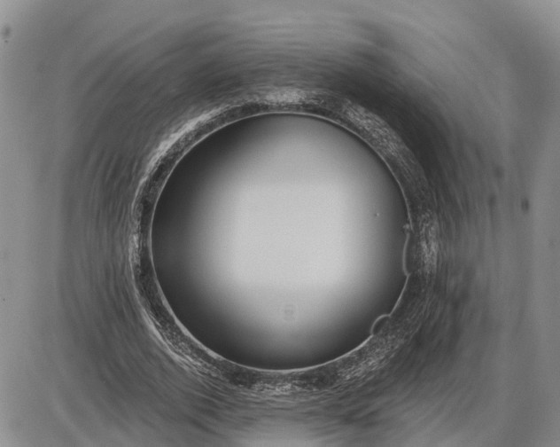 X0000085020728200703191140