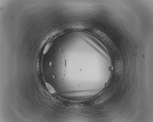 X0000085020731200703191141