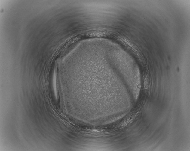 X0000085020737200703191141