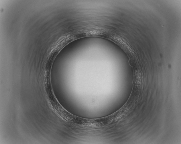 X0000085020738200703191141