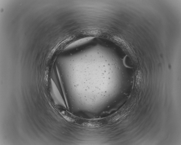 X0000085020739200703191141