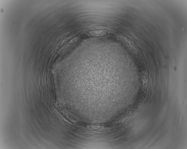 X0000085020745200703191141