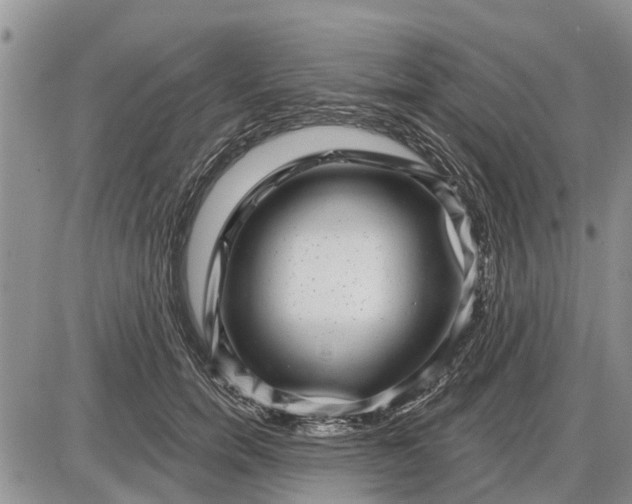 X0000085020750200703191141