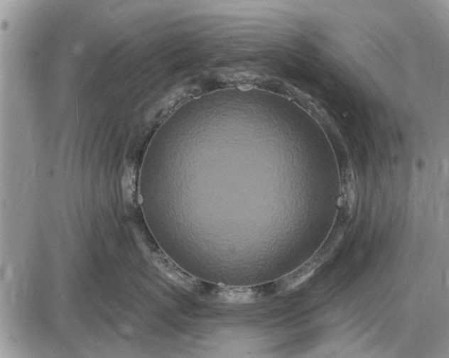 X0000085020767200703191141
