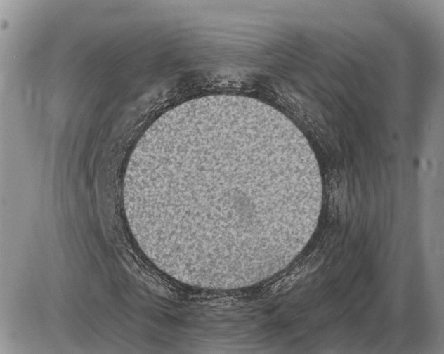 X0000085020769200703191140