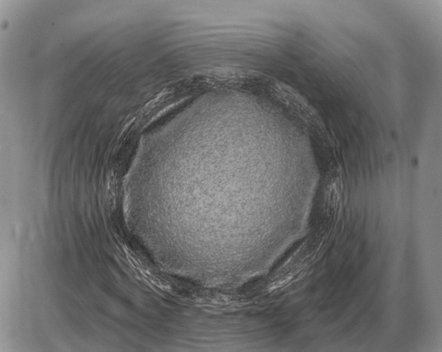 X0000085020772200703191140