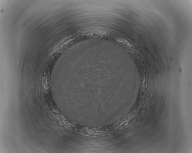 X0000085020774200703191140