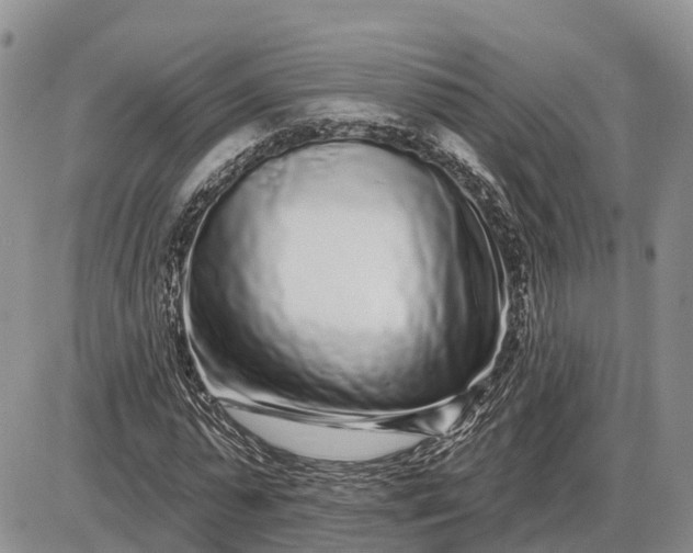 X0000085020775200703191140