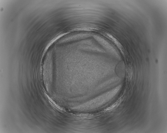 X0000085020779200703191140