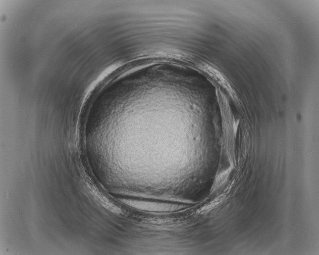 X0000085020780200703191140