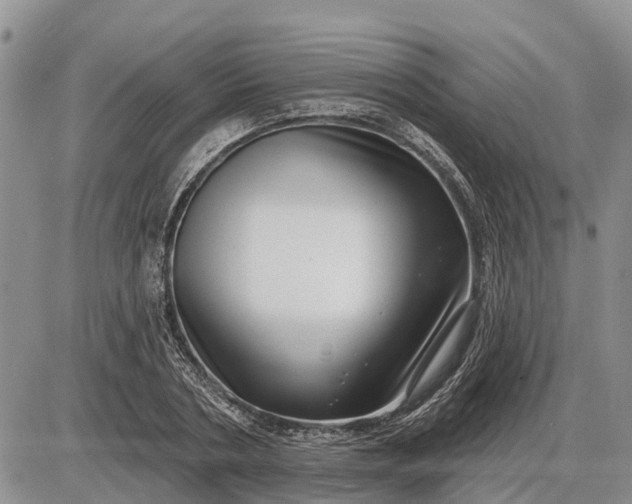 X0000085020786200703191140