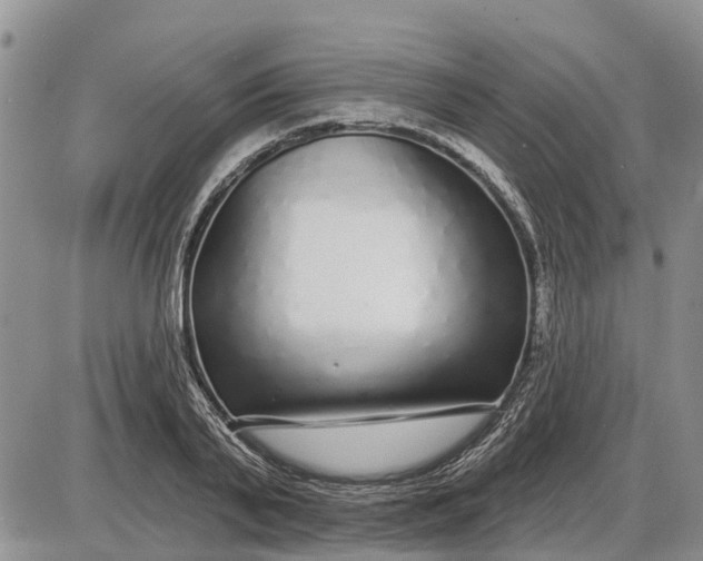 X0000085020791200703191140