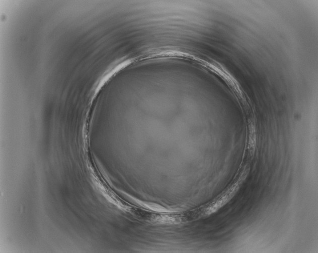 X0000085020806200703191140