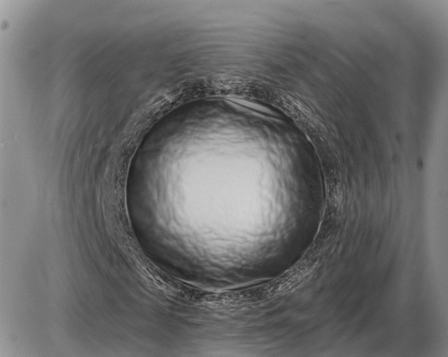 X0000085020817200703191139