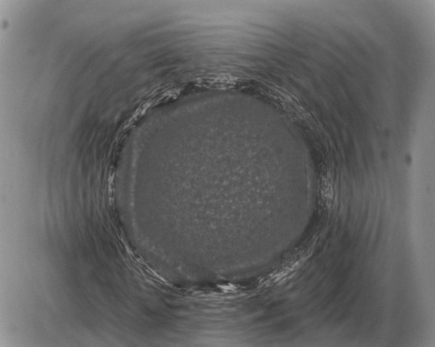 X0000085020818200703191139