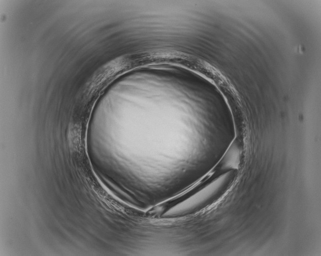 X0000085020825200703191139