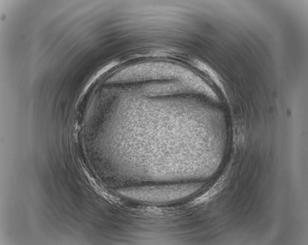 X0000085020827200703191139