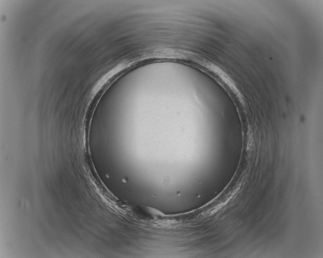 X0000085020837200703191139