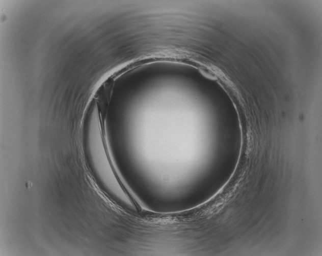 X0000085020838200703191139