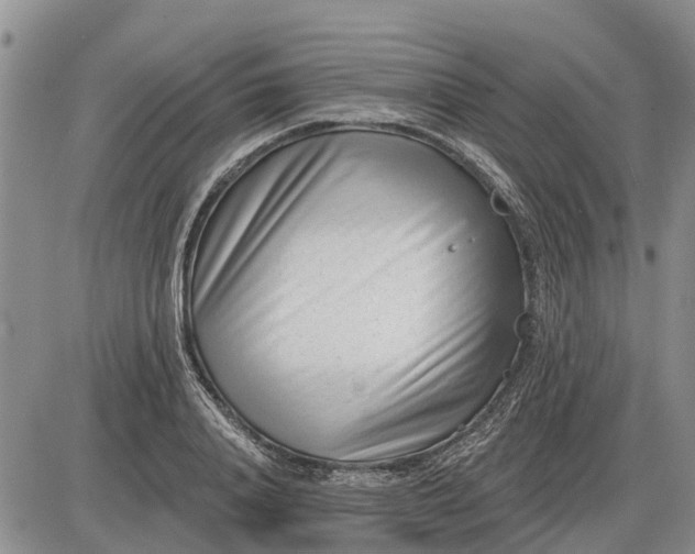 X0000085020840200703191139