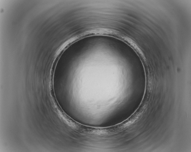 X0000085020845200703191139
