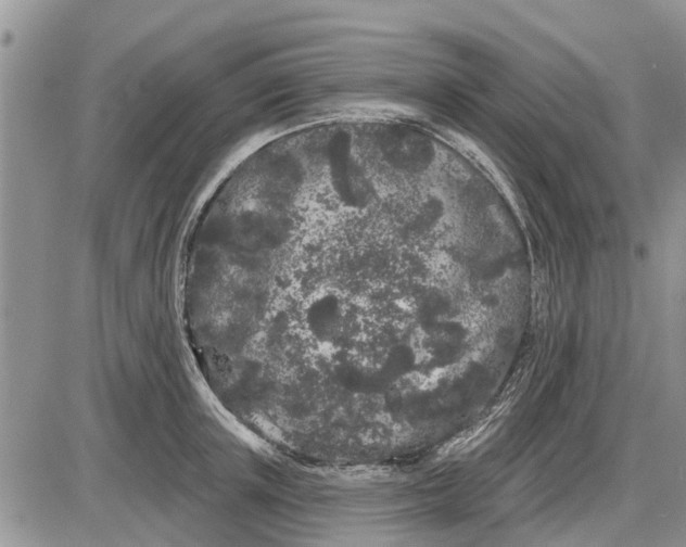X0000085020851200703191139