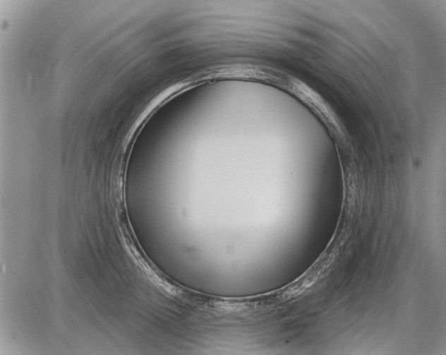 X0000085020852200703191139
