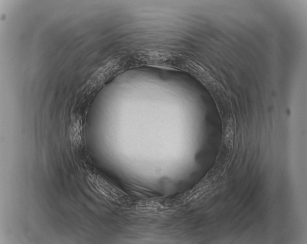 X0000085020866200703191139