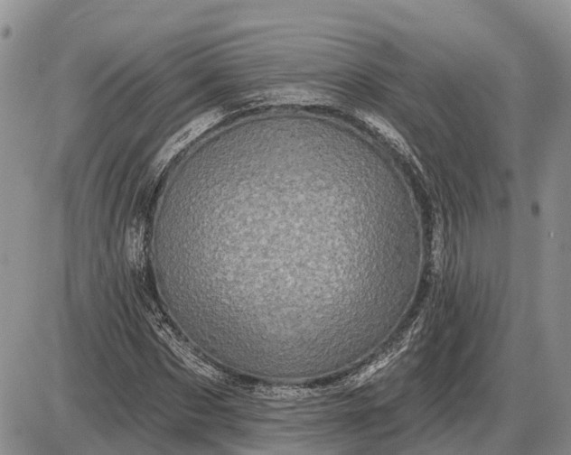 X0000085020873200703191139