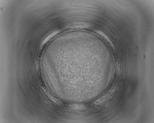 X0000085020874200703191139