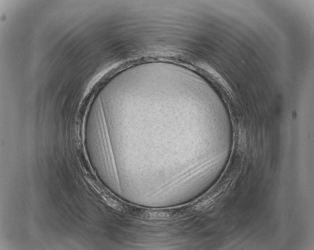 X0000085020878200703191138