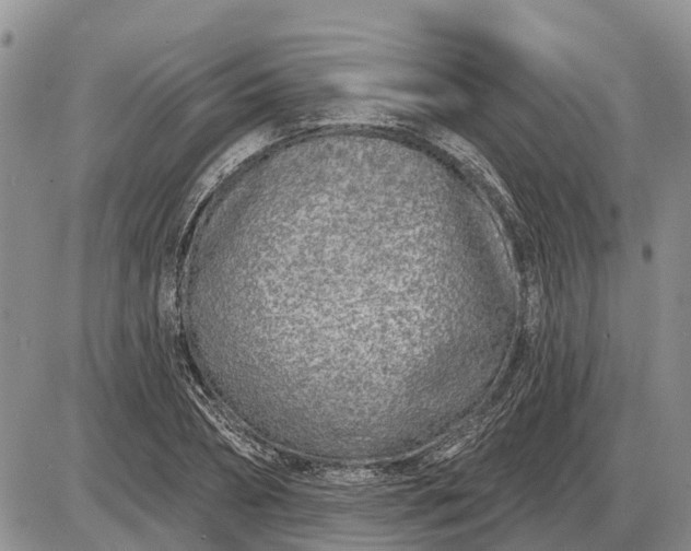 X0000085020882200703191138