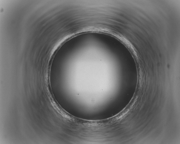 X0000085020896200703191138
