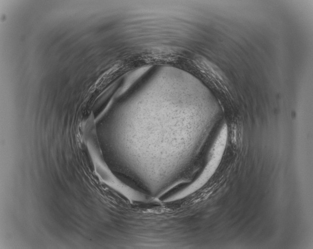 X0000085020915200703191137