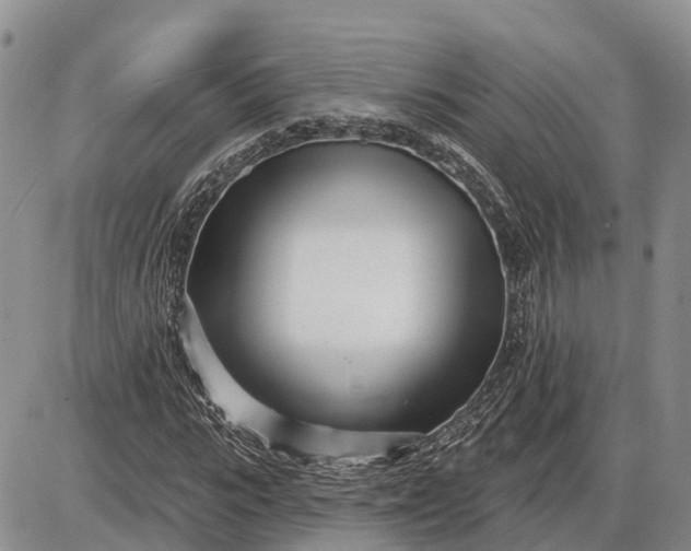 X0000085020919200703191137
