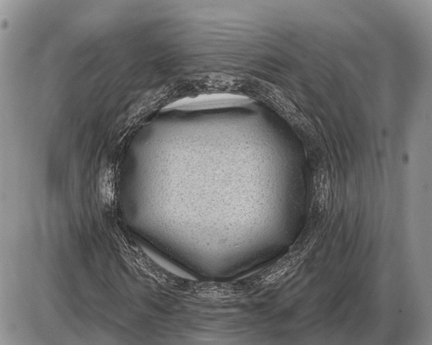 X0000085020962200703191137