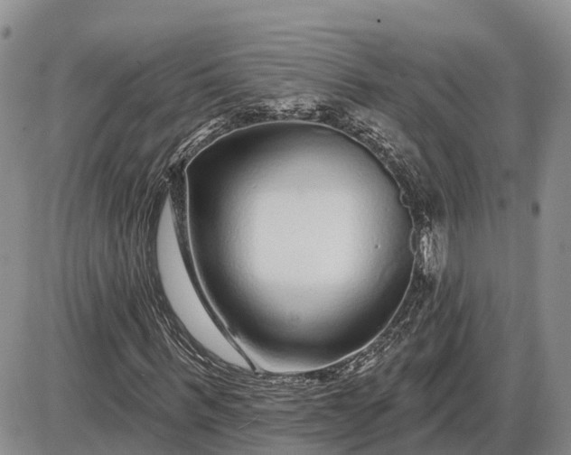 X0000085020963200703191137