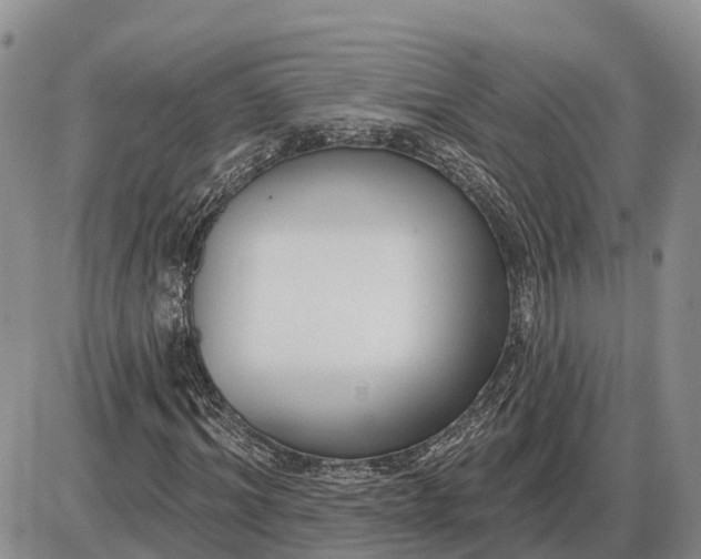 X0000085020964200703191137