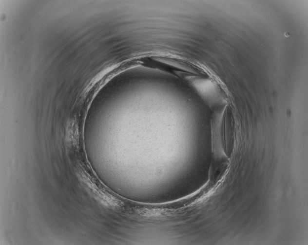 X0000085020969200703191137