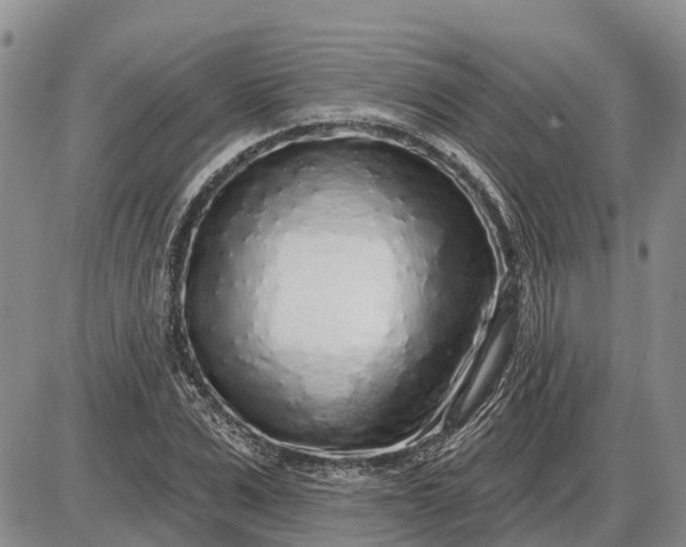 X0000085020975200703191137